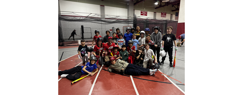 Winter Baseball Clinics